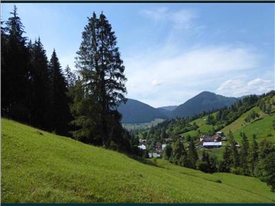 Casa in Bucovina cu 4.5 Hectare